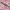 https://res.cloudinary.com/billionhands/image/upload/v1781558651/items/nwxprwbnytvuanpgx5yy.jpg-1cover