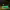 https://res.cloudinary.com/billionhands/image/upload/v1781559175/items/l6ghlrkn8k2vku71yuij.jpg-0cover
