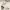 https://res.cloudinary.com/billionhands/image/upload/v1781559278/items/z8meusnboa30cx0malha.jpg-0cover