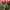 https://res.cloudinary.com/billionhands/image/upload/v1781559286/items/ihnccdzxbvfqtiuy0xnm.jpg-0cover