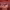 https://res.cloudinary.com/billionhands/image/upload/v1781559941/items/faeagbedvypycanlhvig.jpg-0cover