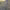 https://res.cloudinary.com/billionhands/image/upload/v1781561633/items/jery1prqmdqyv3nuymsi.jpg-0cover