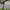 https://res.cloudinary.com/billionhands/image/upload/v1781561636/items/yzcqakgnqs1llj0yvnfo.jpg-3cover