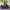 https://res.cloudinary.com/billionhands/image/upload/v1781562401/items/sknwifhh17fbpdcnxg8j.jpg-0cover