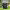 https://res.cloudinary.com/billionhands/image/upload/v1781562402/items/szu7okrb43liwd1fcicy.webp-1cover