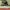 https://res.cloudinary.com/billionhands/image/upload/v1781562411/items/lejkplpcbomcqbdoynbo.jpg-3cover