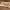 https://res.cloudinary.com/billionhands/image/upload/v1781562776/items/bee8zgjd9shdv6l4nfdj.jpg-3cover