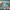 https://res.cloudinary.com/billionhands/image/upload/v1781563082/items/vjkfmvfynhl79s7cec61.png-3cover