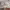 https://res.cloudinary.com/billionhands/image/upload/v1781563664/items/cgvrwijf3eoeprw7rryw.webp-1cover