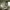 https://res.cloudinary.com/billionhands/image/upload/v1781563664/items/m3wfrycberpfl5xmh5bm.webp-1cover