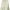 Ectoplasm cover