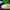 https://res.cloudinary.com/billionhands/image/upload/v1781566495/items/mdggpsekhgfbpehq6ffn.jpg-0cover