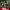 https://res.cloudinary.com/billionhands/image/upload/v1781566787/items/n3iln5dzkfeablzhlaeh.webp-1cover