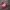 https://res.cloudinary.com/billionhands/image/upload/v1781567082/items/xr7jpnpogljcst7ufzh6.jpg-1cover