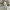 https://res.cloudinary.com/billionhands/image/upload/v1781569148/items/rpyurhq2nsuj78zxdbqe.webp-0cover