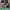 https://res.cloudinary.com/billionhands/image/upload/v1781569525/items/lx2inoomouymg9xkte65.webp-0cover