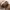 https://res.cloudinary.com/billionhands/image/upload/v1781570152/items/z3cjm5cr7cv0wehss90w.jpg-3cover