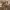 https://res.cloudinary.com/billionhands/image/upload/v1781570312/items/nz6gyh4k6sxfrz8gun55.avif-1cover