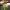 https://res.cloudinary.com/billionhands/image/upload/v1781572496/items/jaca4xvx1iqhfw4uffla.jpg-3cover