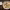 https://res.cloudinary.com/billionhands/image/upload/v1781572809/items/buif4kx7boveq14eupa6.jpg-2cover