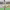 https://res.cloudinary.com/billionhands/image/upload/v1781573307/items/cipeusebirceci2xmfop.jpg-0cover