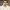 https://res.cloudinary.com/billionhands/image/upload/v1781573308/items/i0nmxicjzafxbuqekhw6.webp-1cover
