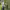 https://res.cloudinary.com/billionhands/image/upload/v1781573952/items/svrhgrjzcvvxipsqoc9y.jpg-3cover