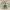 https://res.cloudinary.com/billionhands/image/upload/v1781574078/items/kpczp9qllvfdkxwdliz4.jpg-0cover