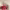 https://res.cloudinary.com/billionhands/image/upload/v1781574504/items/cxzmkmw0jhqk1inauenl.webp-2cover