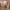 https://res.cloudinary.com/billionhands/image/upload/v1781574872/items/sl03sivhhxpz23cwqqdm.jpg-2cover