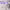 https://res.cloudinary.com/billionhands/image/upload/v1781576212/items/ta6gscyxktm5wiuiqffb.jpg-2cover