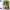https://res.cloudinary.com/billionhands/image/upload/v1781576246/items/isy7pnazuevohkb80ii5.png-3cover