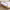 https://res.cloudinary.com/billionhands/image/upload/v1781576558/items/twwwmmychkdhzcen3j66.webp-2cover