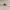 https://res.cloudinary.com/billionhands/image/upload/v1781582990/items/ws4y7frsabsxnrnvakvu.jpg-1cover