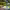 https://res.cloudinary.com/billionhands/image/upload/v1781583270/items/mlz42nmdvzt06joiw5sn.avif-0cover