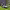 https://res.cloudinary.com/billionhands/image/upload/v1781586635/items/b4x9syvzhrq8if2vi68m.webp-3cover