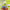 https://res.cloudinary.com/billionhands/image/upload/v1781587083/items/v3783f3qwp4dsemgrvw3.jpg-0cover