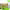 https://res.cloudinary.com/billionhands/image/upload/v1781587289/items/itogz5fhyeyyl8obkwje.jpg-1cover