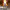 https://res.cloudinary.com/billionhands/image/upload/v1781588071/items/i9nmjn4yy2qtrodt5o1t.jpg-3cover