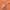 https://res.cloudinary.com/billionhands/image/upload/v1781588421/items/nowbbap5evey9pekjki4.jpg-2cover