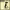 https://res.cloudinary.com/billionhands/image/upload/v1781588644/items/ei7vtc5nvjkwk98oz7gg.jpg-3cover