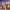 https://res.cloudinary.com/billionhands/image/upload/v1781590811/items/vdxy3q5jn1pfsda0jeba.png-0cover