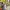https://res.cloudinary.com/billionhands/image/upload/v1781593774/items/yqw6popxb1c8qogiyglp.png-0cover