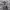 https://res.cloudinary.com/billionhands/image/upload/v1781594008/items/y6hfzmszexsvrlxkgnhk.webp-0cover