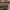 https://res.cloudinary.com/billionhands/image/upload/v1781597809/items/ny0syjb3tuwvqn4vif9n.jpg-2cover