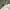 https://res.cloudinary.com/billionhands/image/upload/v1781598677/items/td30wwdaviuausve8dwk.webp-2cover