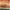 https://res.cloudinary.com/billionhands/image/upload/v1781601344/items/d3catmwtfv2e8rfzkxcr.jpg-0cover