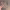 https://res.cloudinary.com/billionhands/image/upload/v1781601687/items/qb4pa4kxoodrpxem5kbz.jpg-1cover