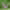 https://res.cloudinary.com/billionhands/image/upload/v1781601776/items/pe5oga0zppx6bajdwrhl.jpg-0cover