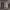 https://res.cloudinary.com/billionhands/image/upload/v1781605093/items/nf2eduhamv7ppuc10vbl.jpg-0cover